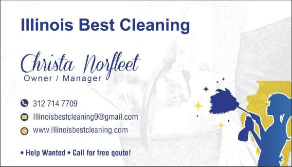 illinois best cleaning